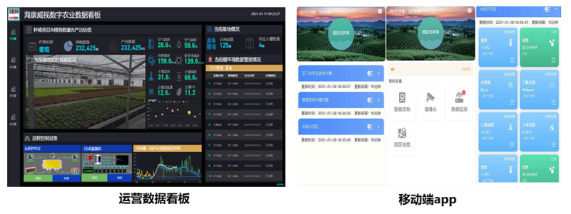 種植基地高清視頻監(jiān)控應(yīng)用效果